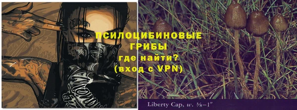 марихуана Богородицк