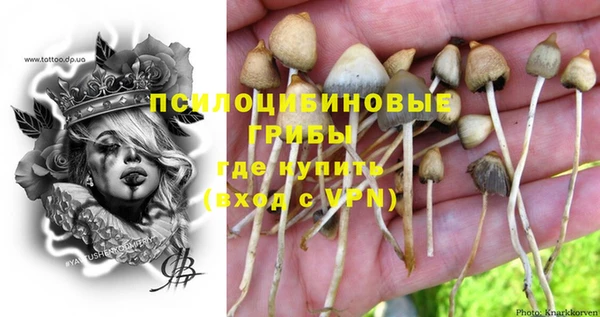 МДМА Богданович