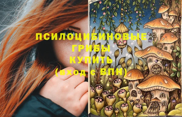 МДМА Богданович