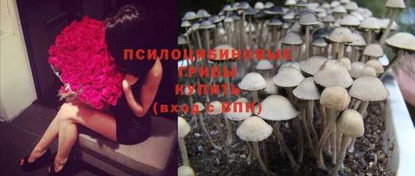 МДМА Богданович